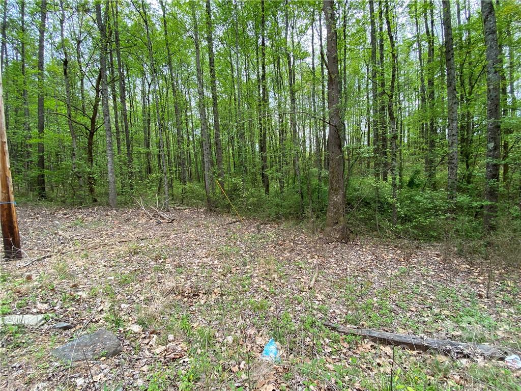 00 Sunrise Trail Property Photo 3