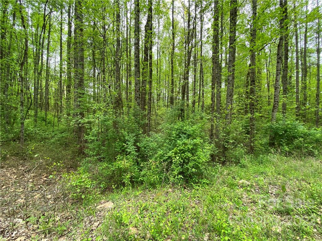 00 Sunrise Trail Property Photo 5