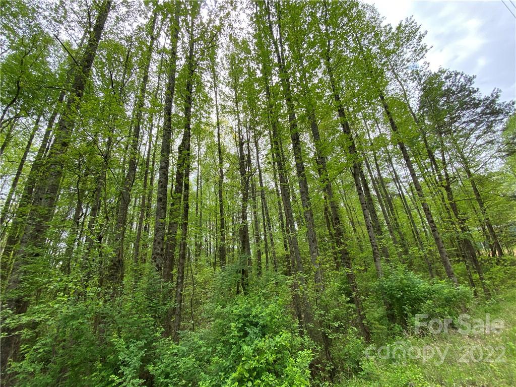 00 Sunrise Trail Property Photo 7