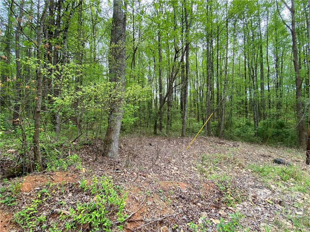 00 Sunrise Trail Property Photo 8