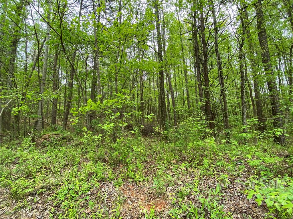00 Sunrise Trail Property Photo 9