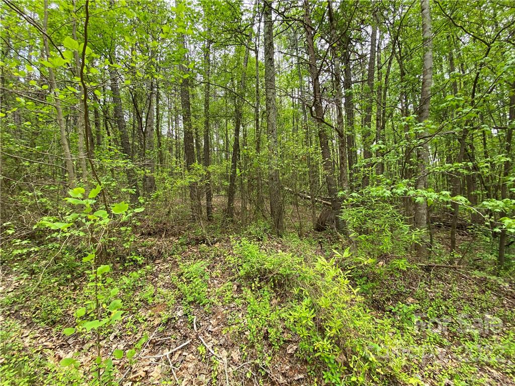 00 Sunrise Trail Property Photo 10