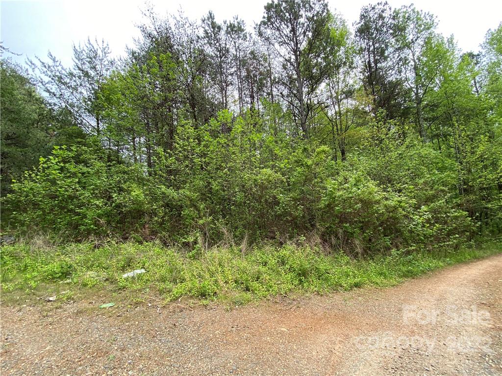 00 Sunrise Trail Property Photo 11