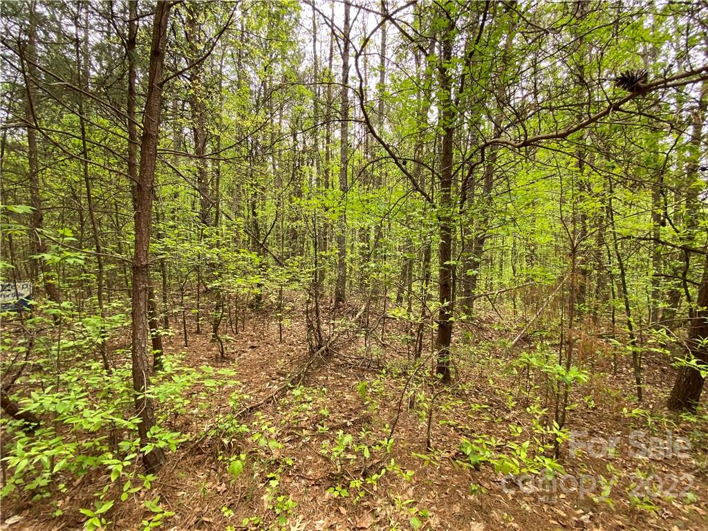 00 Sunrise Trail Property Photo 12