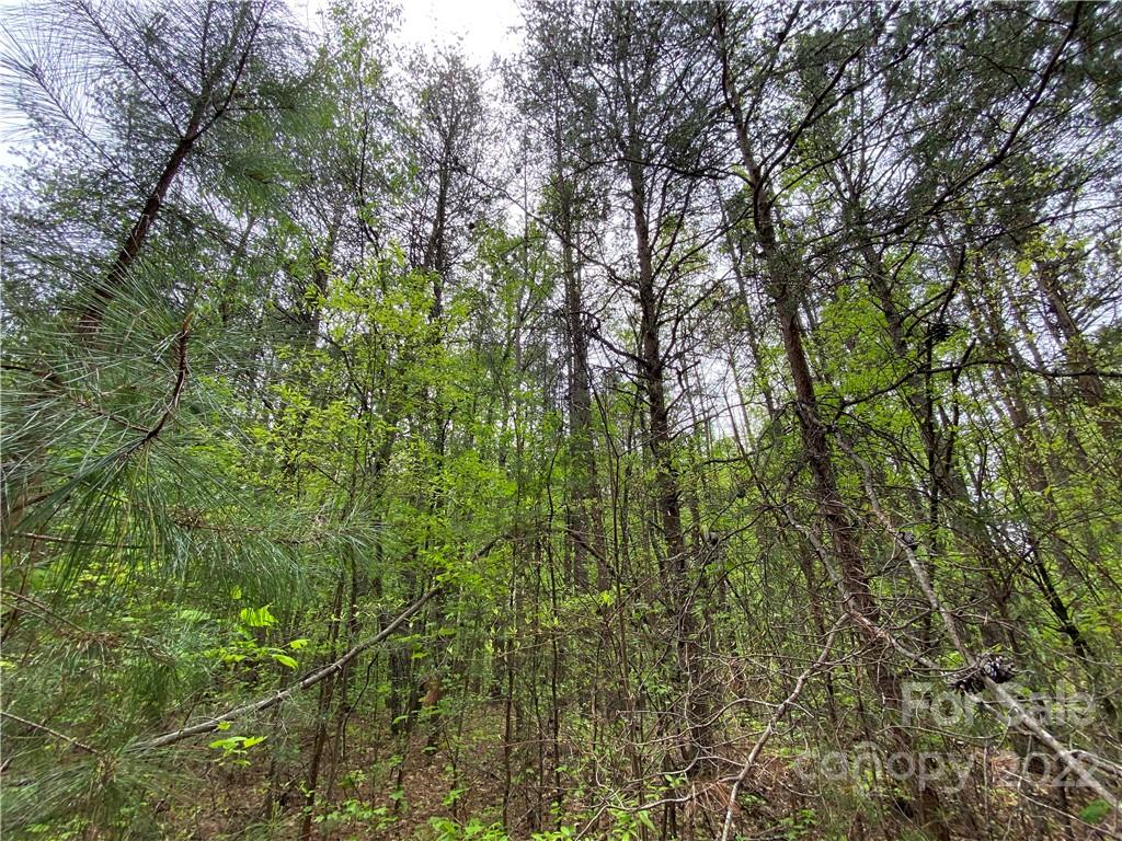 00 Sunrise Trail Property Photo 13