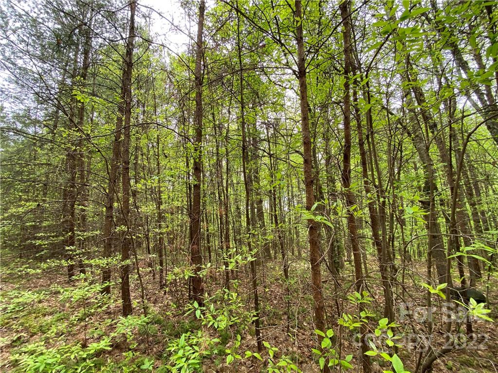 00 Sunrise Trail Property Photo 14