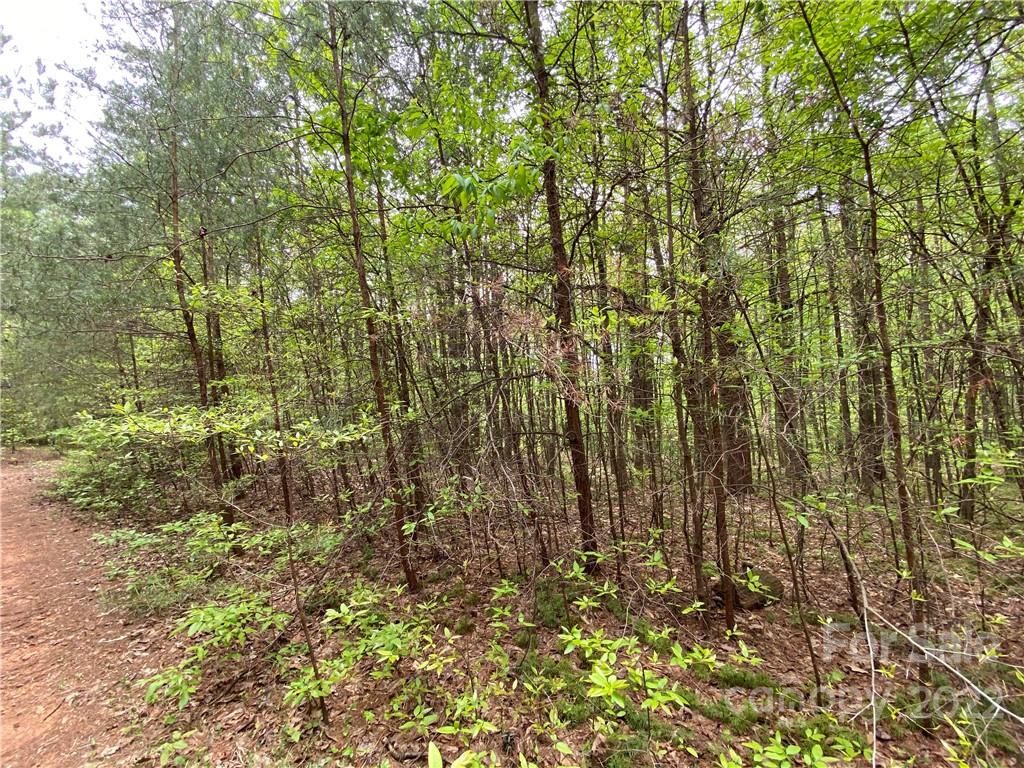 00 Sunrise Trail Property Photo 15