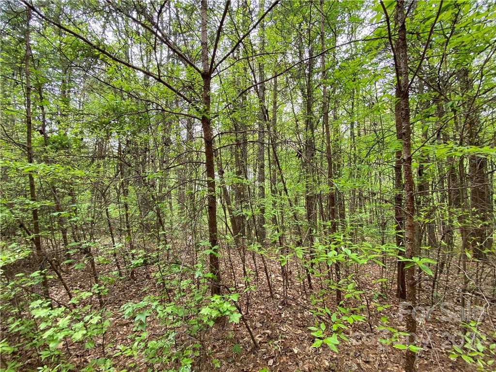 00 Sunrise Trail Property Photo 17