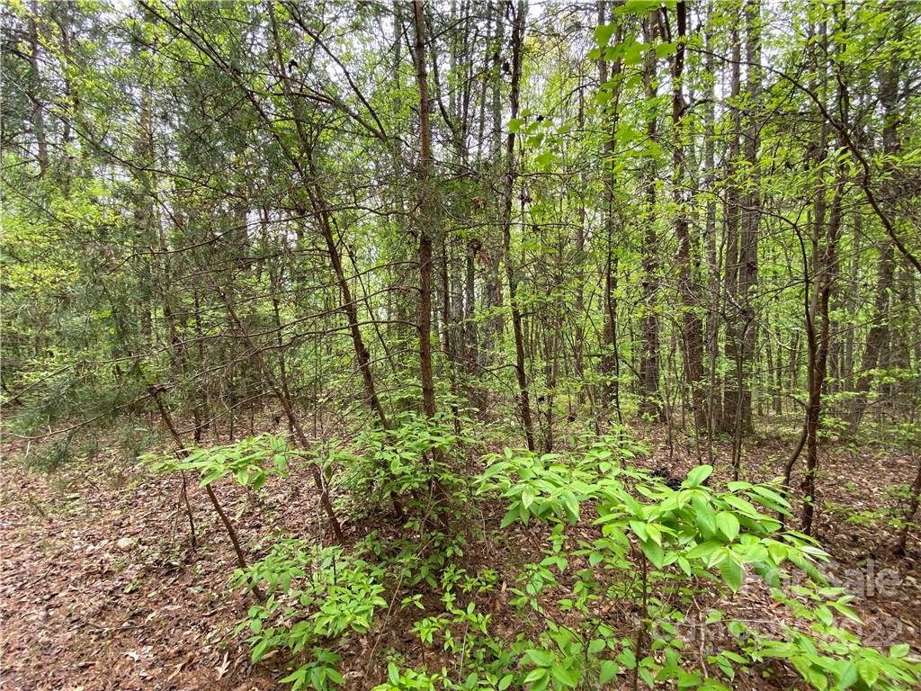 00 Sunrise Trail Property Photo 18