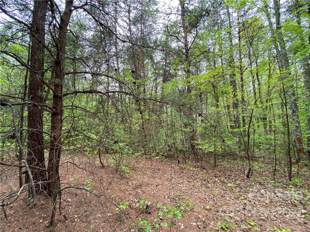 00 Sunrise Trail Property Photo 19