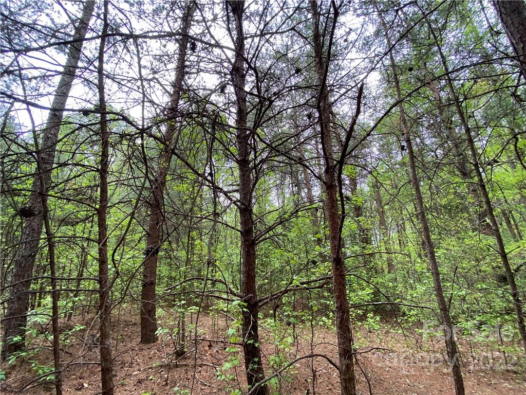 00 Sunrise Trail Property Photo 20