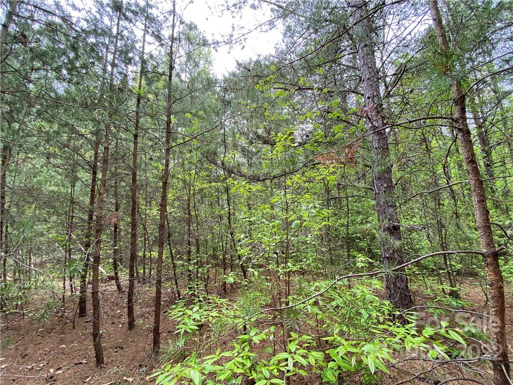 00 Sunrise Trail Property Photo 21