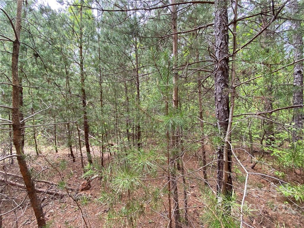 00 Sunrise Trail Property Photo 22