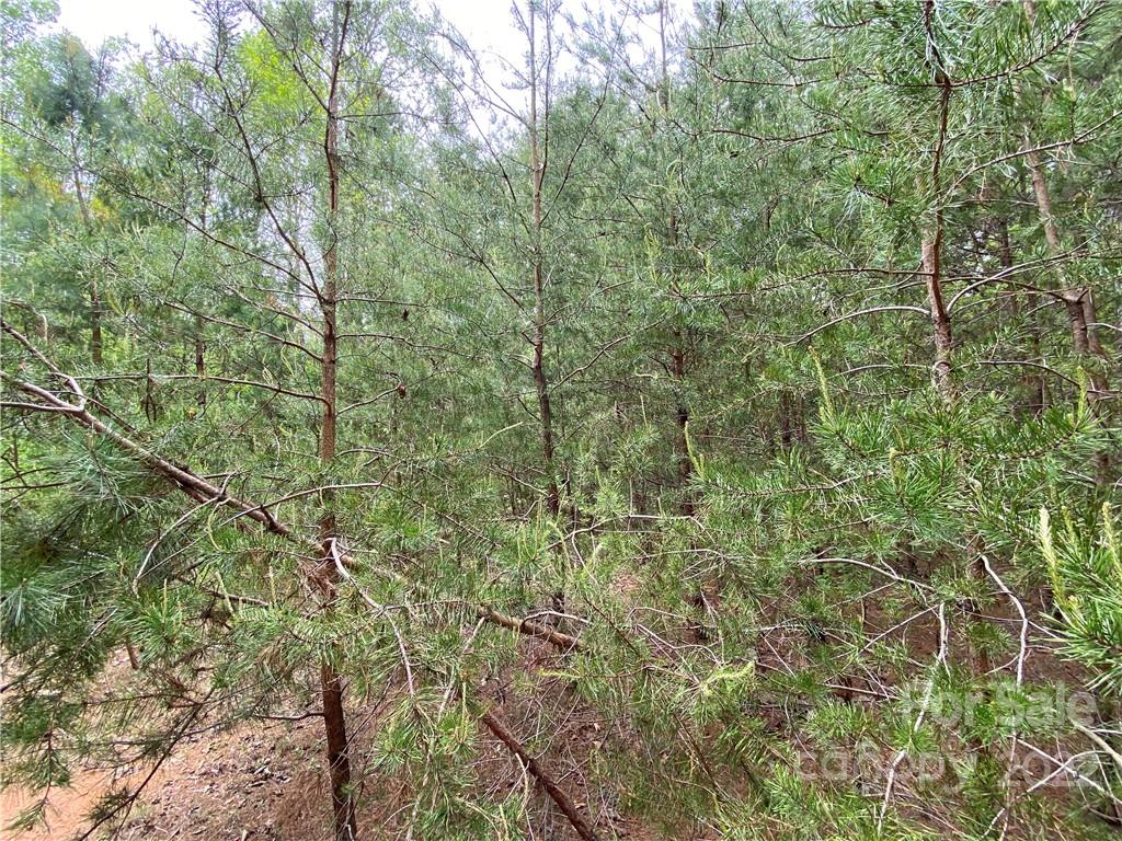 00 Sunrise Trail Property Photo 23