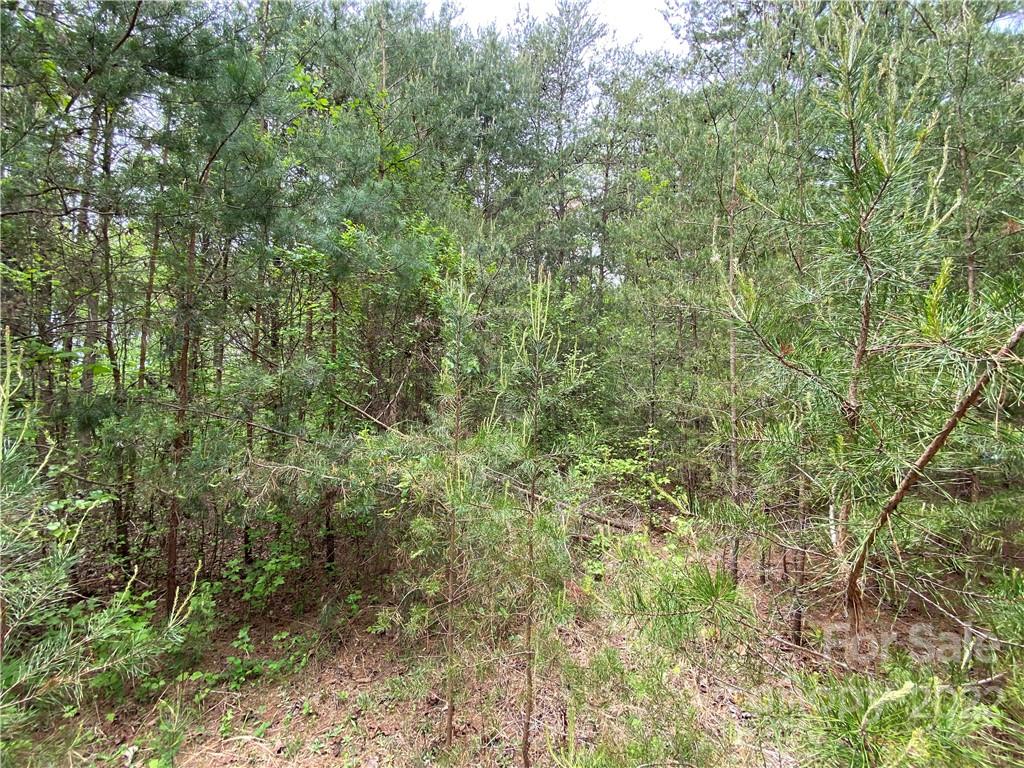 00 Sunrise Trail Property Photo 25