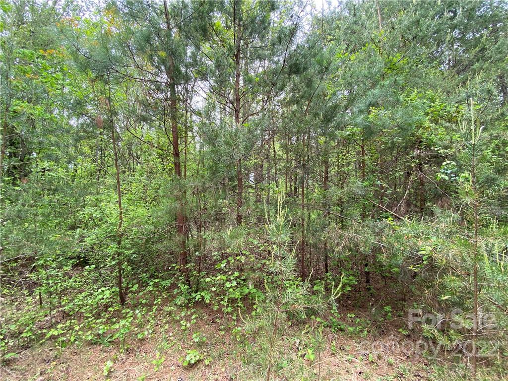 00 Sunrise Trail Property Photo 26
