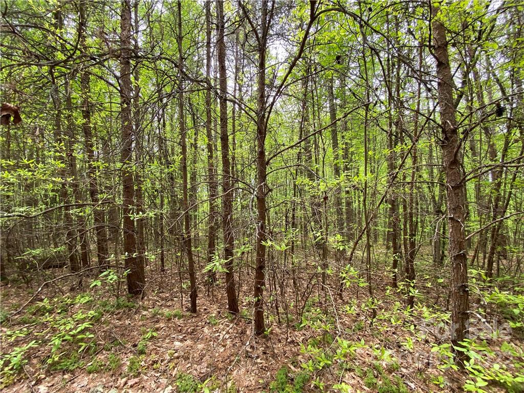 00 Sunrise Trail Property Photo 27