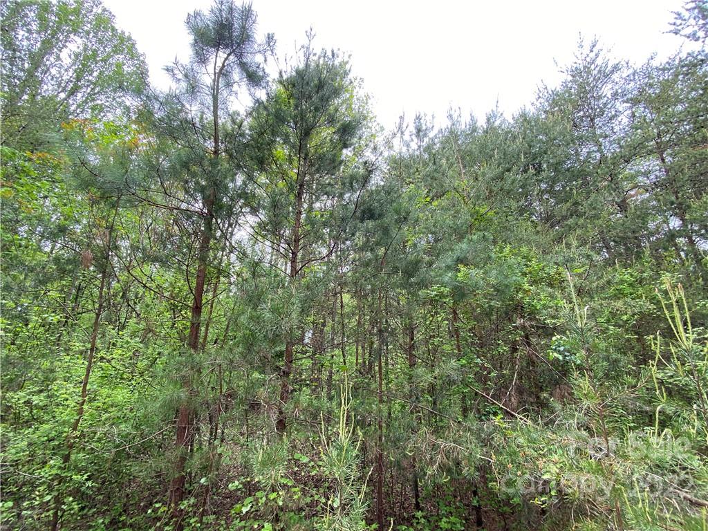 00 Sunrise Trail Property Photo 28