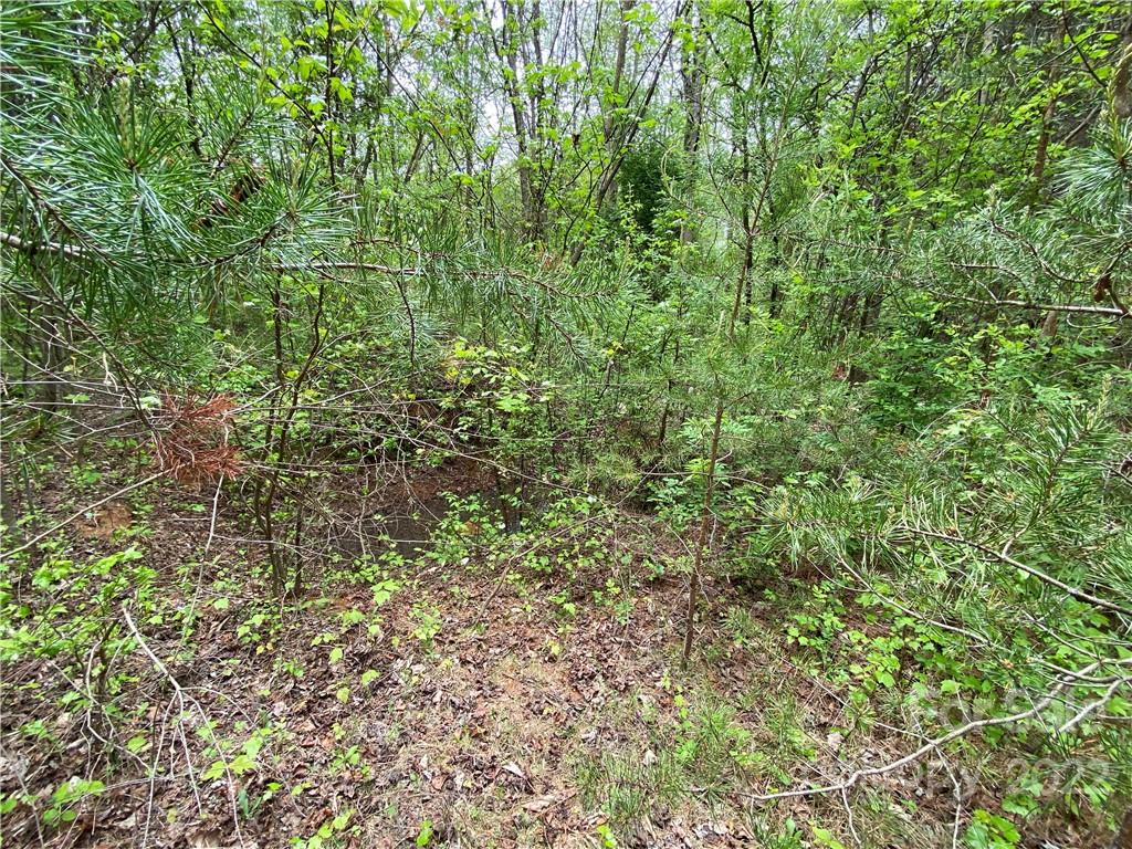 00 Sunrise Trail Property Photo 29