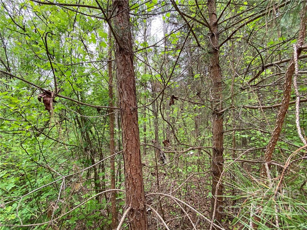 00 Sunrise Trail Property Photo 30