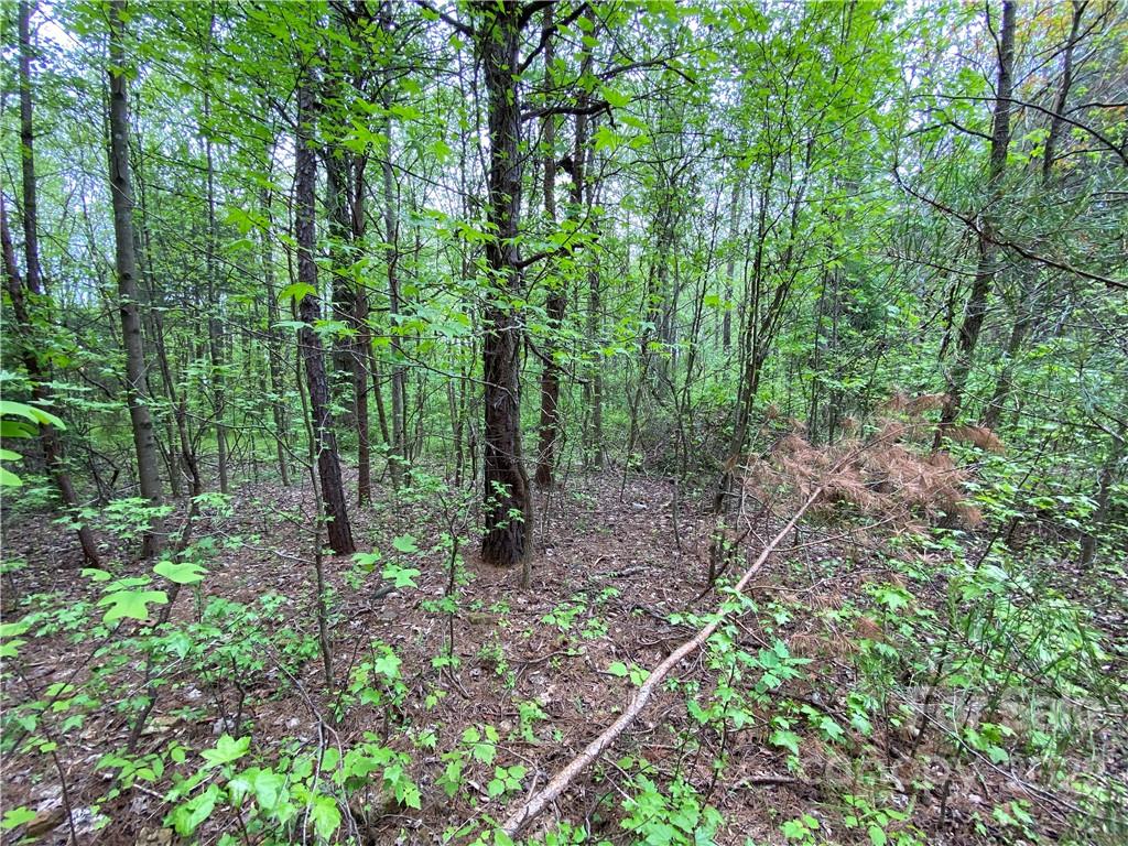 00 Sunrise Trail Property Photo 31