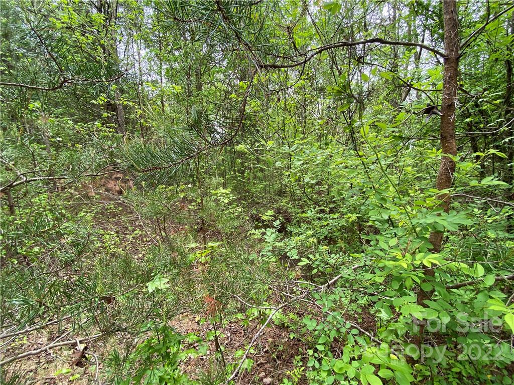 00 Sunrise Trail Property Photo 32
