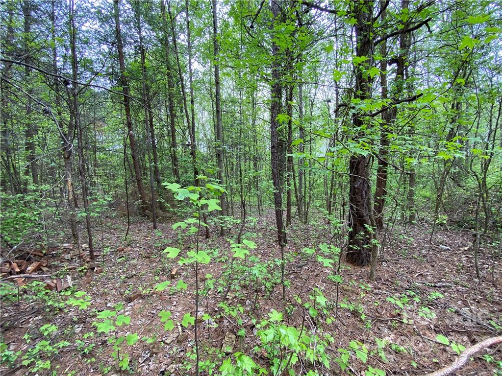 00 Sunrise Trail Property Photo 33