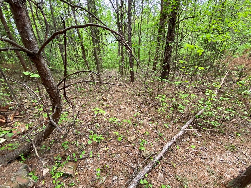 00 Sunrise Trail Property Photo 34