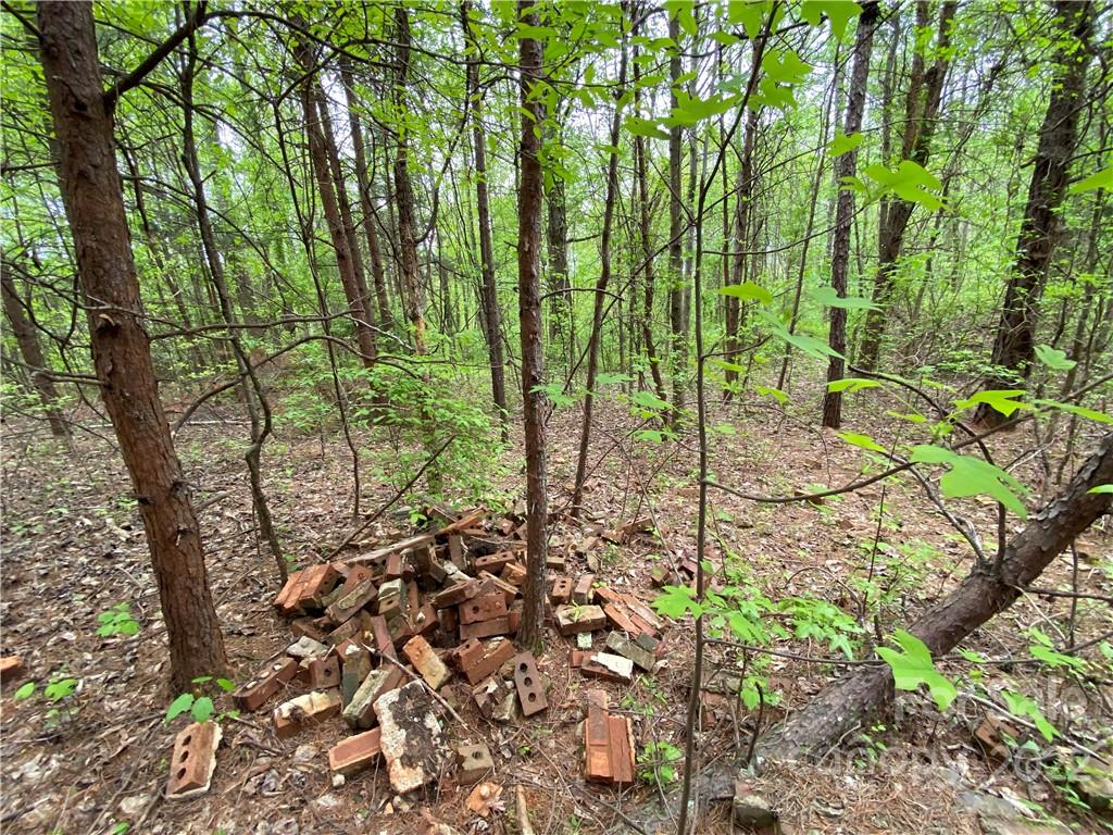 00 Sunrise Trail Property Photo 35