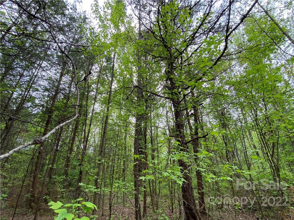 00 Sunrise Trail Property Photo 36