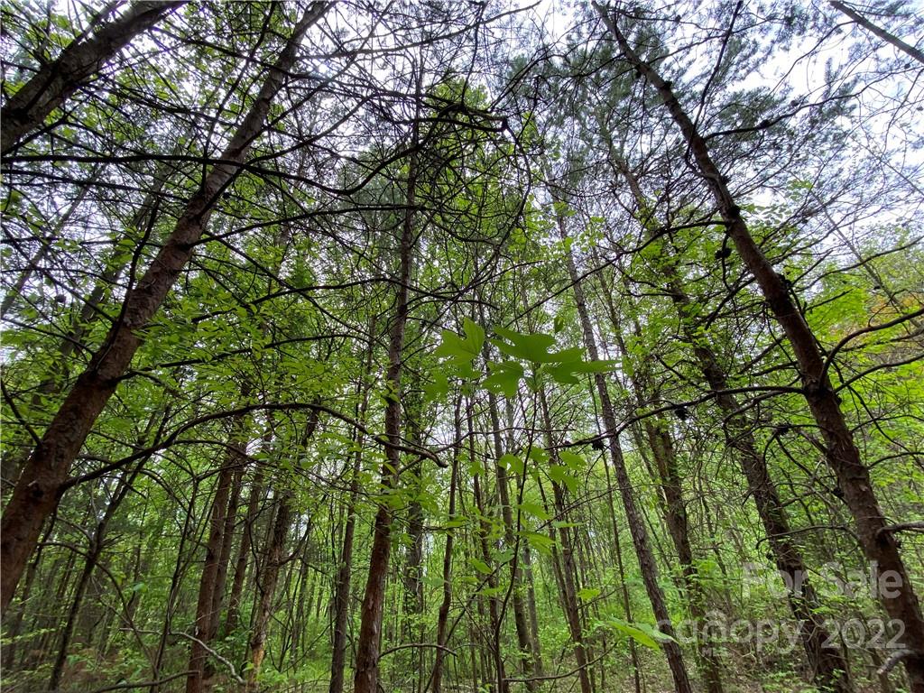 00 Sunrise Trail Property Photo 37