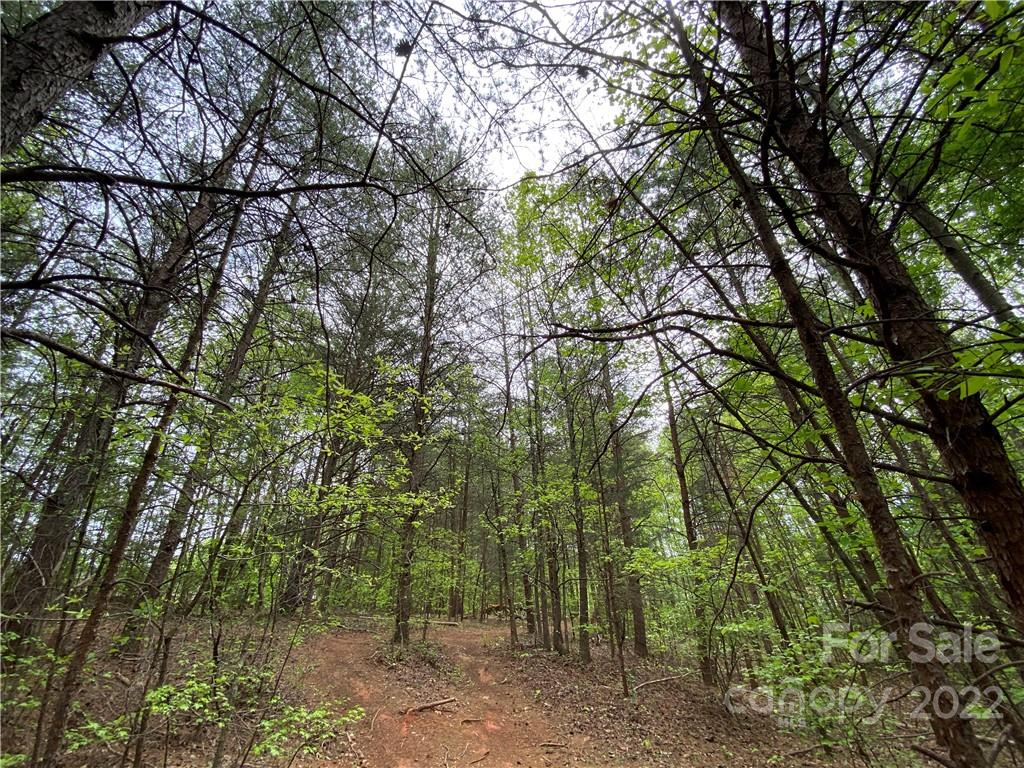 00 Sunrise Trail Property Photo 40