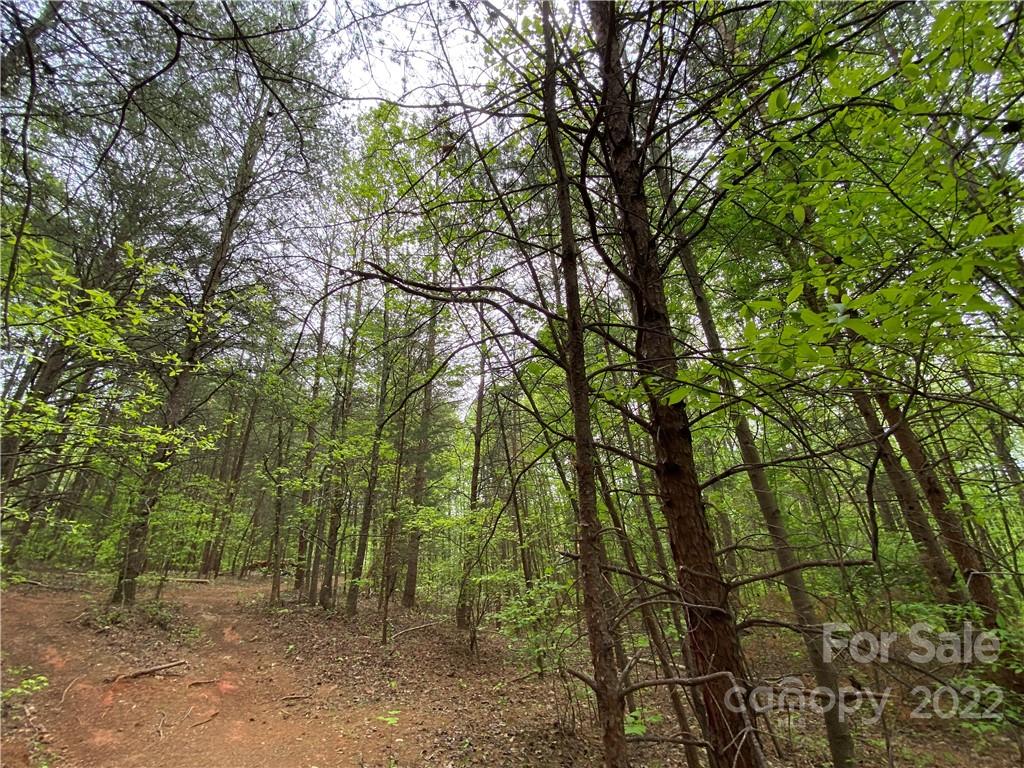 00 Sunrise Trail Property Photo 41