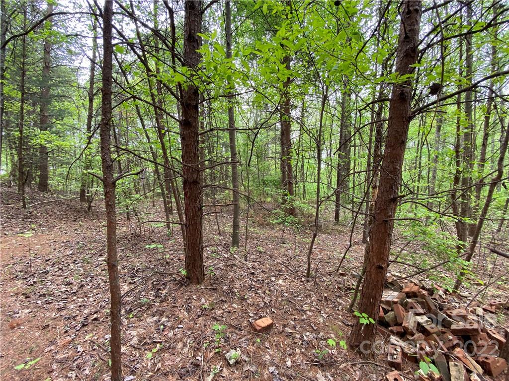 00 Sunrise Trail Property Photo 42