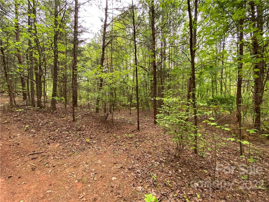 00 Sunrise Trail Property Photo 43
