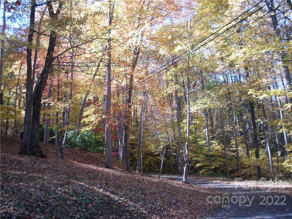 Lot 13 Dogwood Drive 13 Property Photo