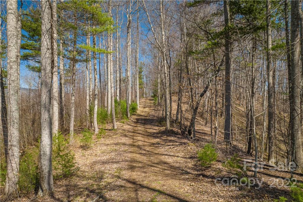 0 Saylor Lake Road Property Photo 5