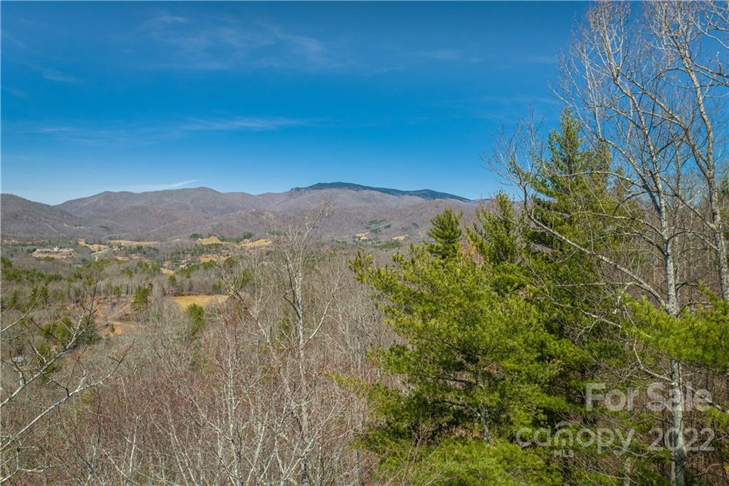 0 Saylor Lake Road Property Photo 19