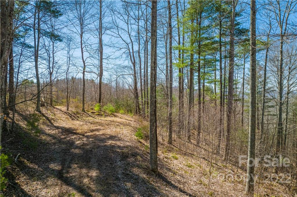 0 Saylor Lake Road Property Photo 20
