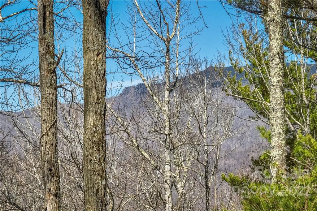 0 Saylor Lake Road Property Photo 22