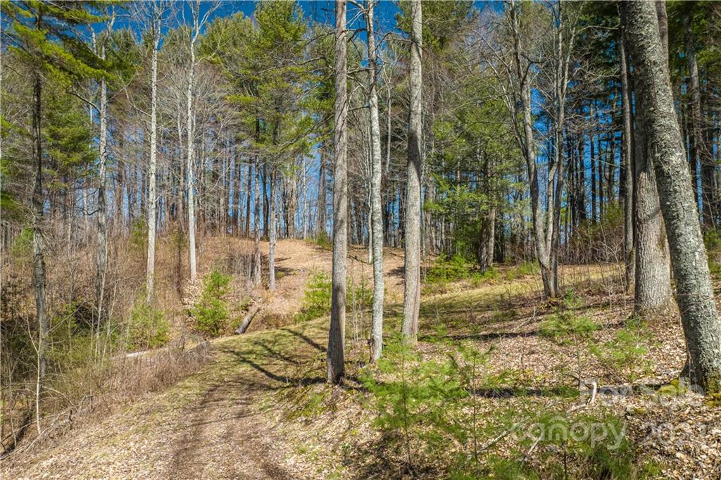 0 Saylor Lake Road Property Photo 23
