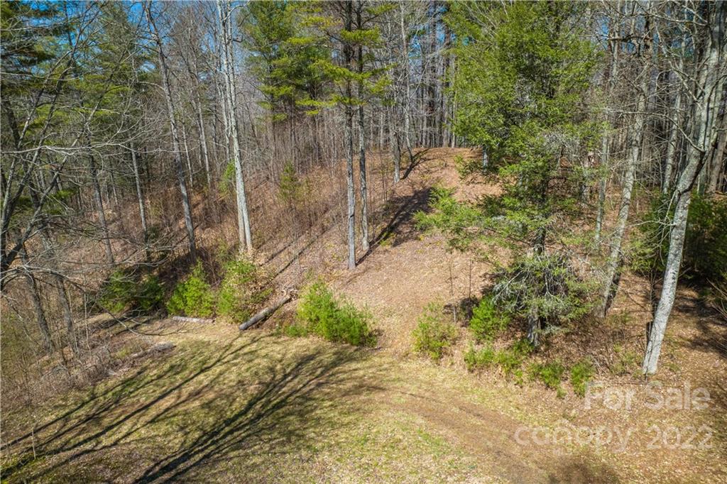 0 Saylor Lake Road Property Photo 24