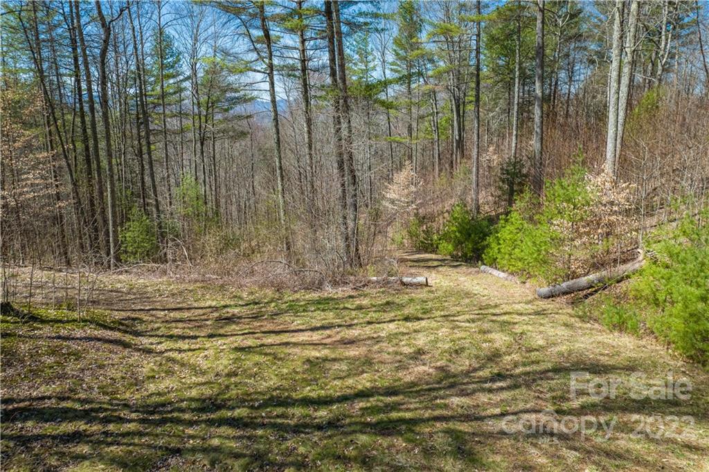 0 Saylor Lake Road Property Photo 25