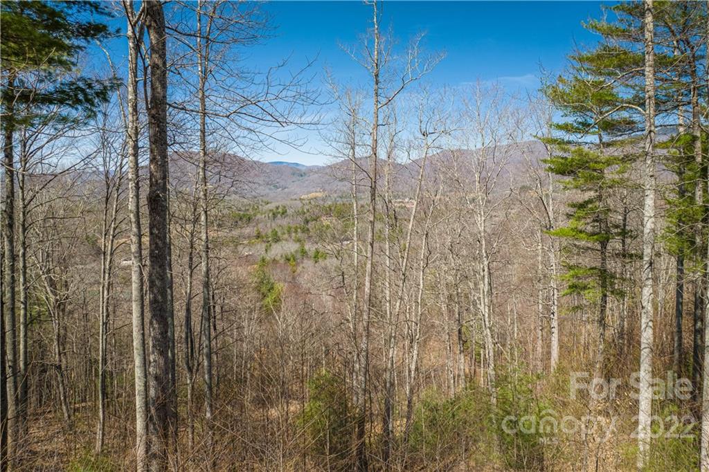 0 Saylor Lake Road Property Photo 28