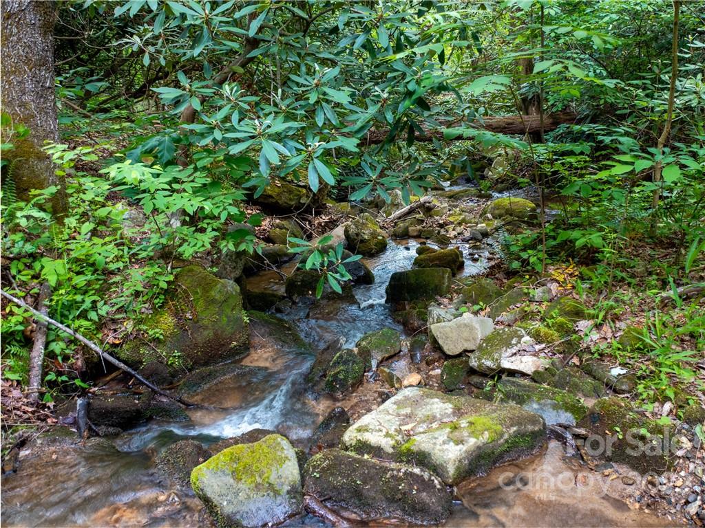 Lot 2072 Anthony Court Property Photo 2