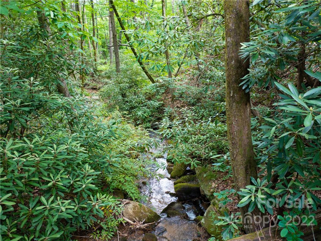 Lot 2072 Anthony Court Property Photo 4