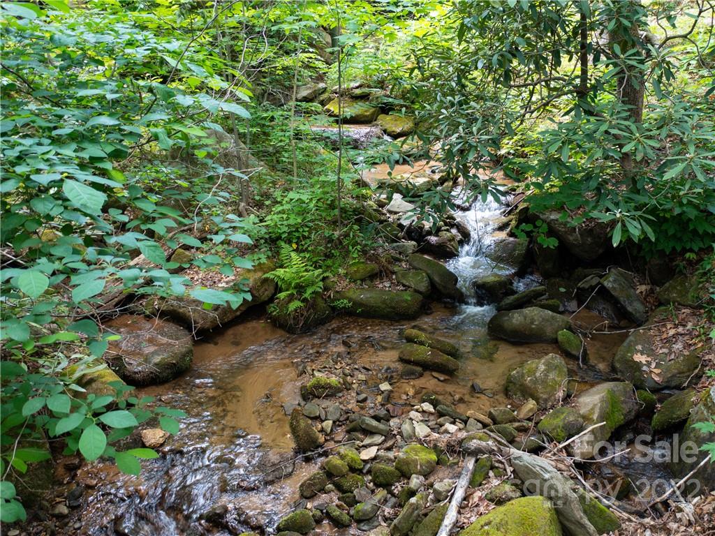 Lot 2072 Anthony Court Property Photo 6