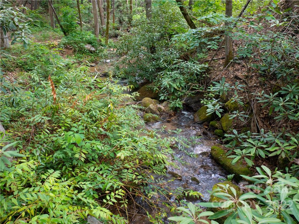 Lot 2072 Anthony Court Property Photo 8