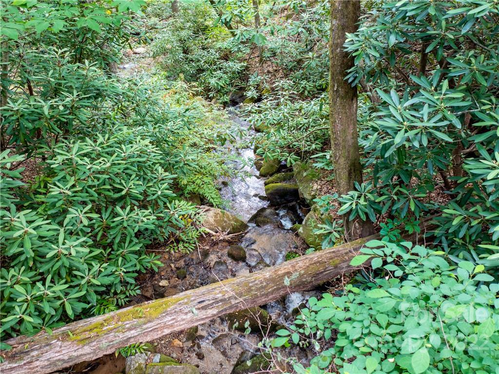 Lot 2072 Anthony Court Property Photo 12