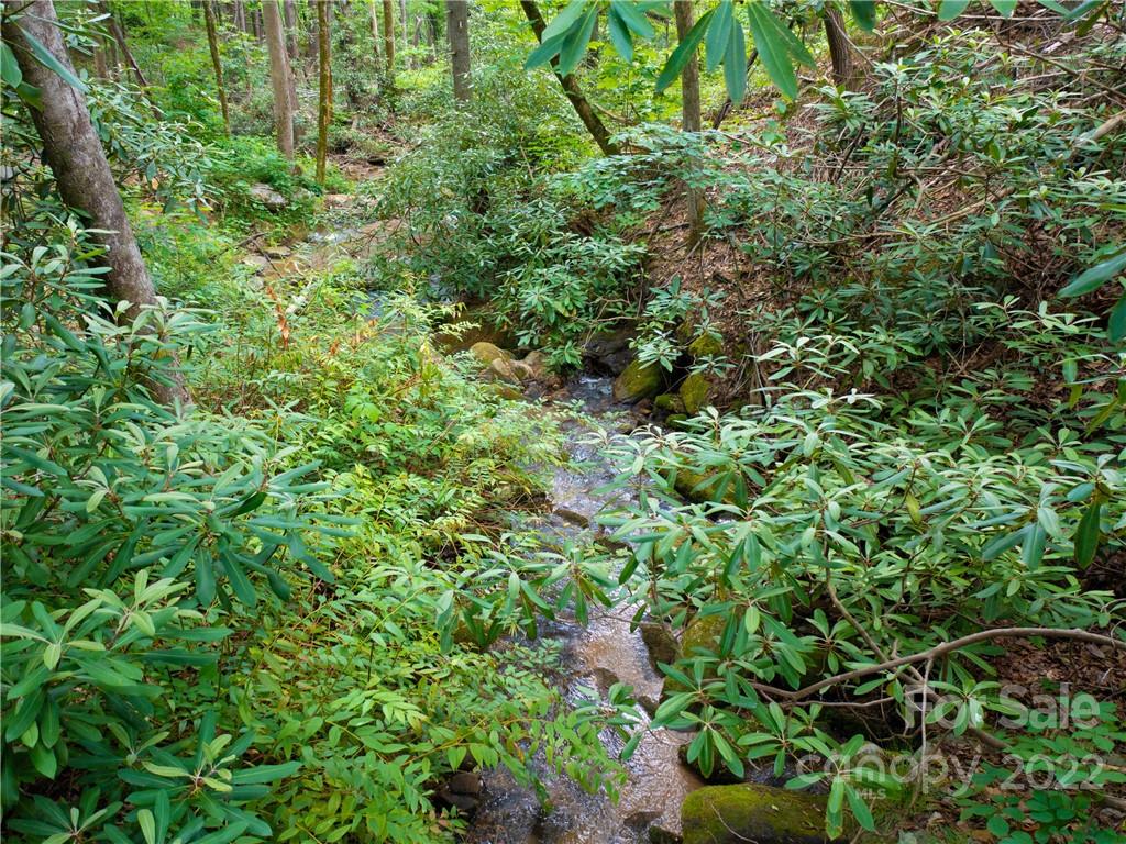 Lot 2072 Anthony Court Property Photo 13